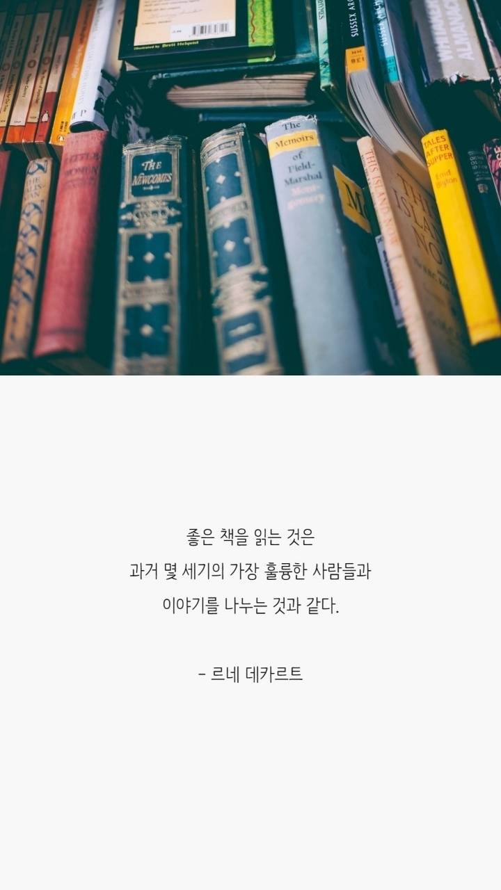 독서욕구 자극하는 책 명언 | 인스티즈