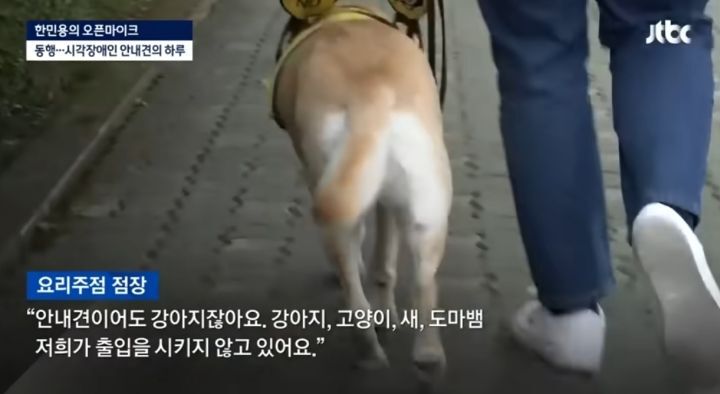 밥먹으려다가 7번 거절 당하는 강아지 | 인스티즈