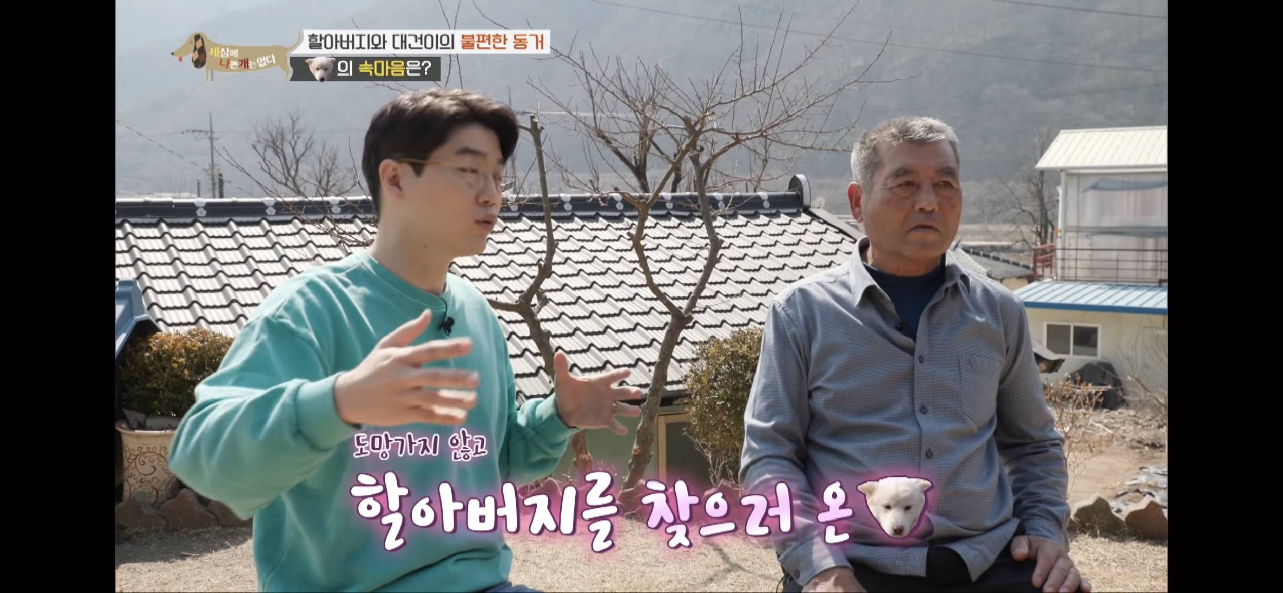 [세나개] 주인 할아버지를 무서워하는 들개 출신 대건이 | 인스티즈