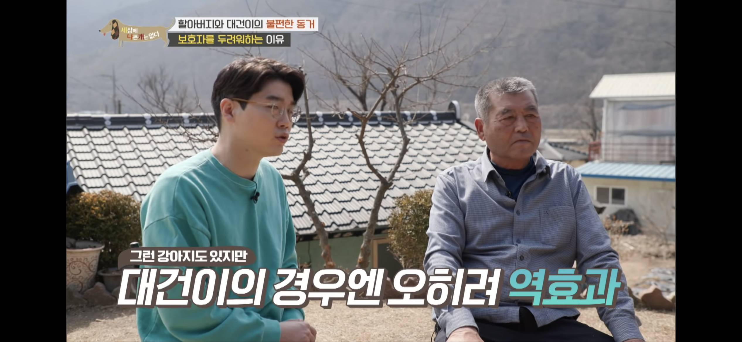 [세나개] 주인 할아버지를 무서워하는 들개 출신 대건이 | 인스티즈