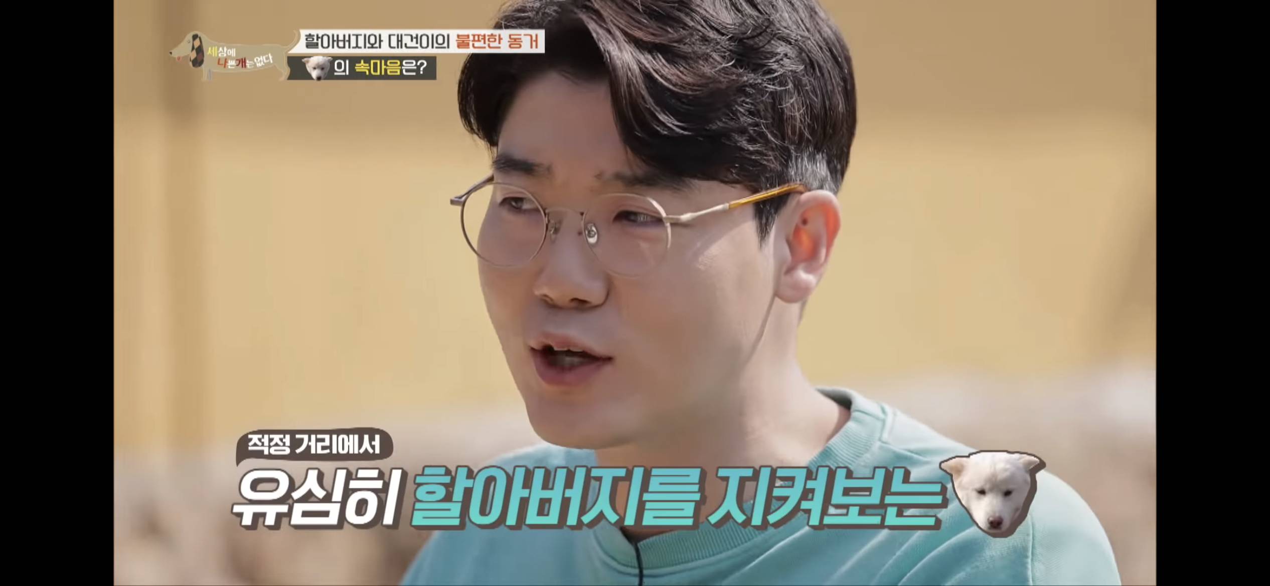 [세나개] 주인 할아버지를 무서워하는 들개 출신 대건이 | 인스티즈