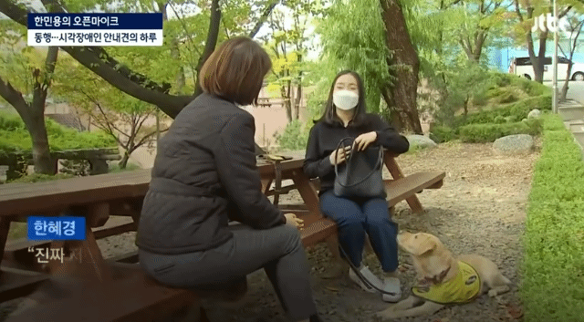 밥먹으려다가 7번 거절 당하는 강아지 | 인스티즈