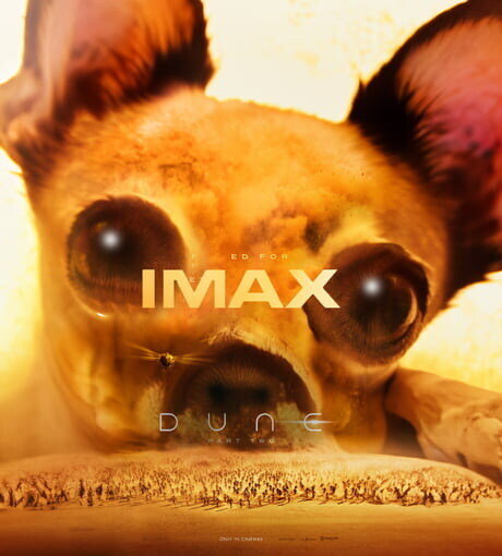 듄2 real IMAX 버전 포스터.jpg | 인스티즈