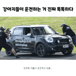 운전 개같이한다 진짜 | 인스티즈
