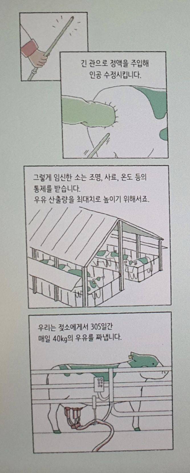 우유가 만들어지는 과정 | 인스티즈