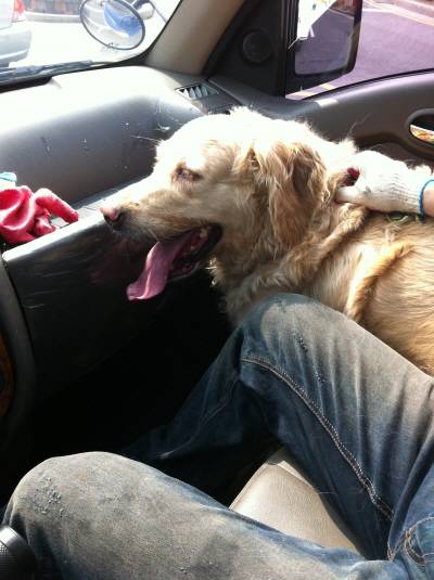 혼자 외롭게 떠난 사람들의 뒷이야기 (고독사) | 인스티즈