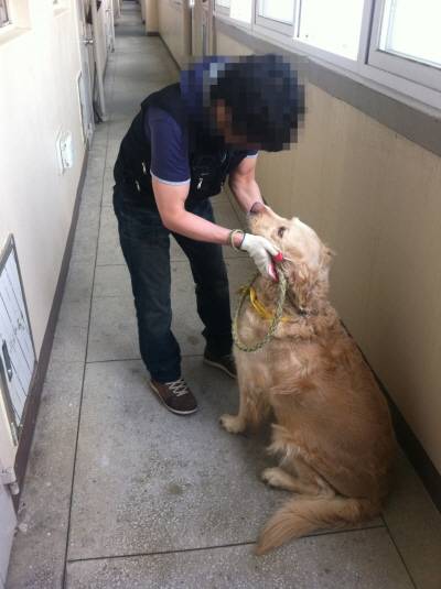 혼자 외롭게 떠난 사람들의 뒷이야기 (고독사) | 인스티즈