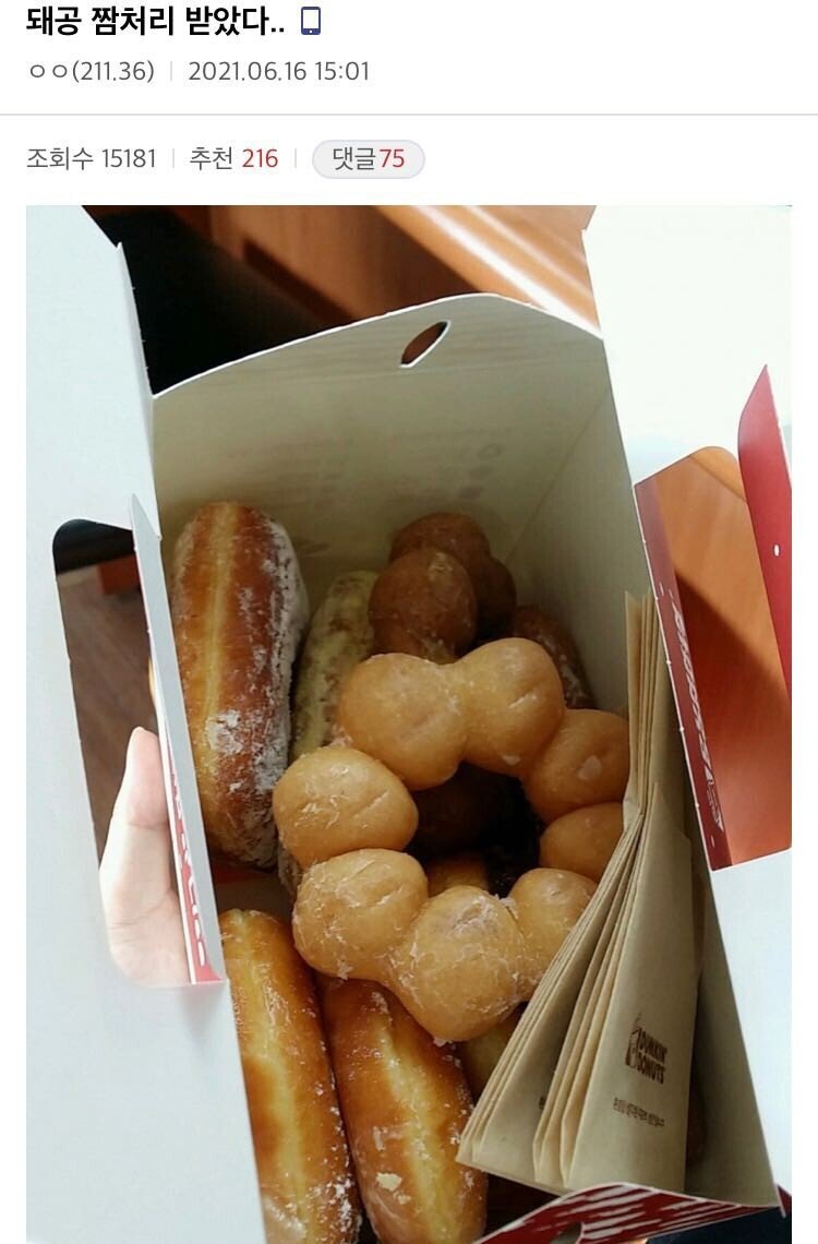 며칠지난 도넛 짬처리(?) 당한 돼공....jpg | 인스티즈