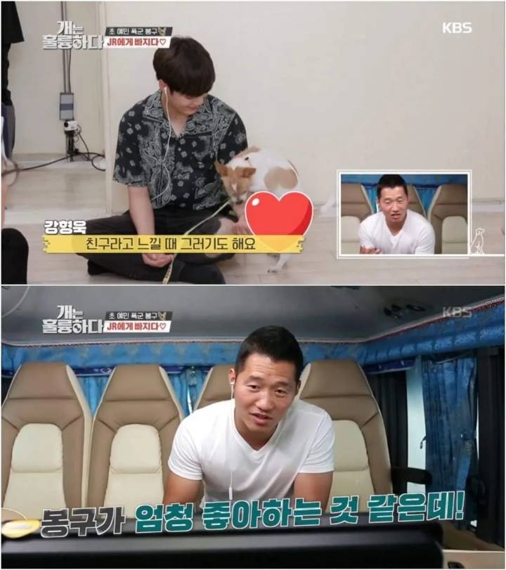 문제견이 있었는데요....없었습니다.jpg | 인스티즈