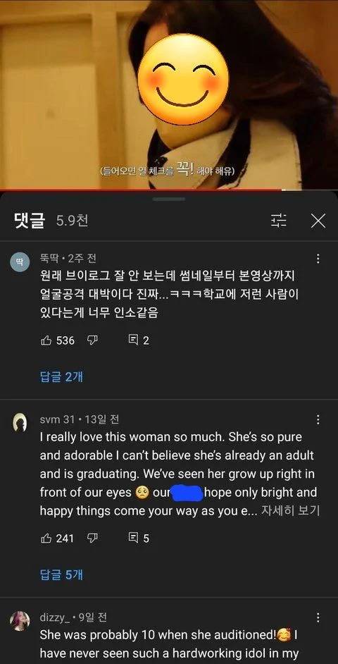 연예인 브이로그 외국vs한국 반응 차이 충격인달글 | 인스티즈