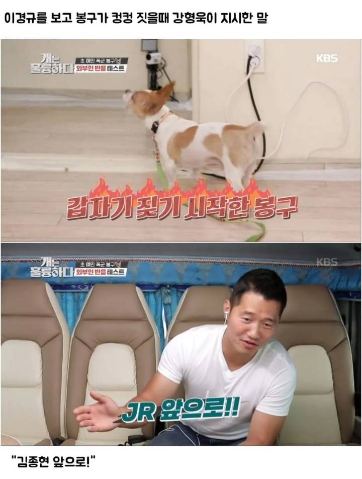 문제견이 있었는데요....없었습니다.jpg | 인스티즈