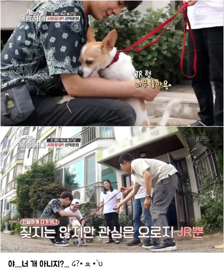 문제견이 있었는데요....없었습니다.jpg | 인스티즈