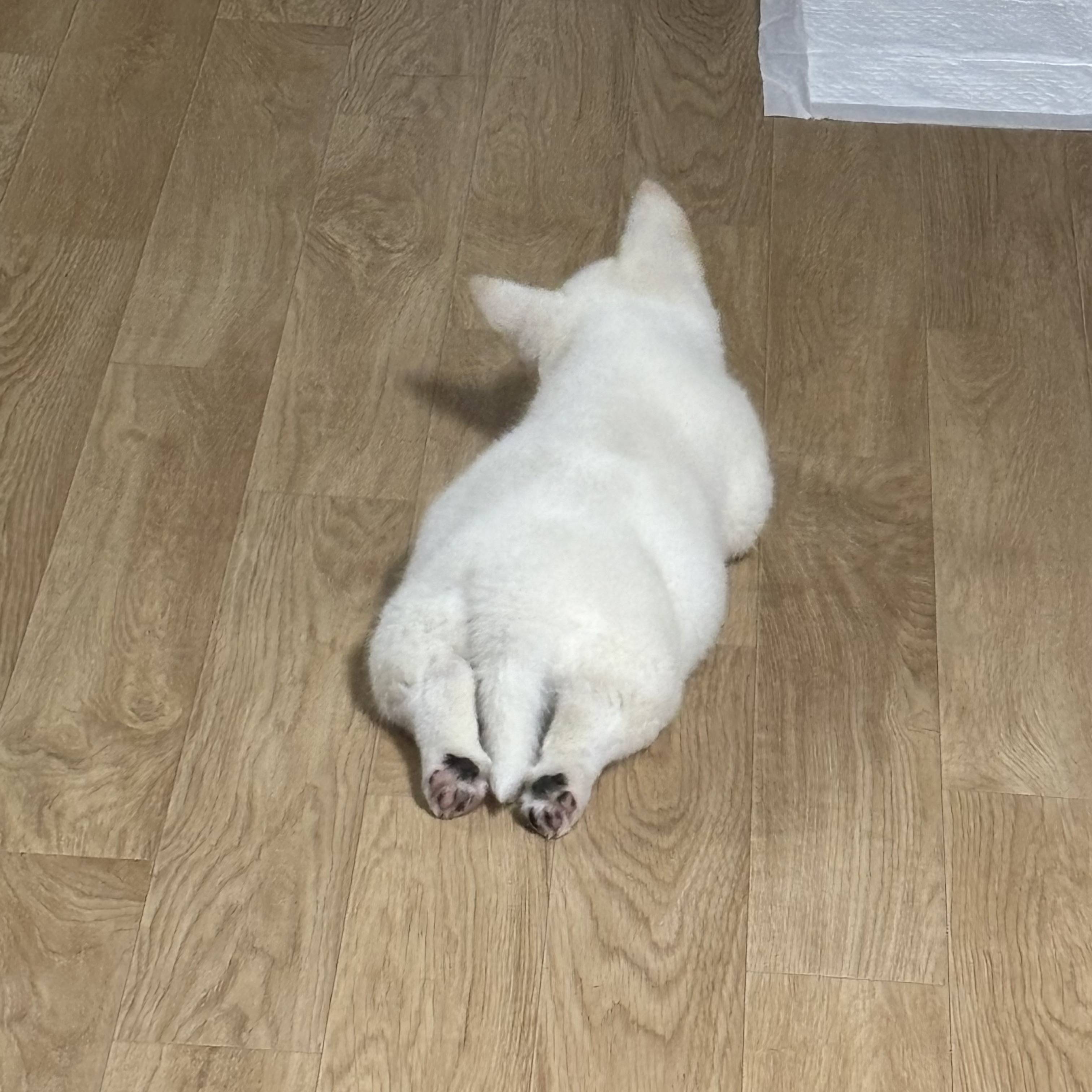 오늘 울 애기랑 함께한지 100일이야 | 인스티즈