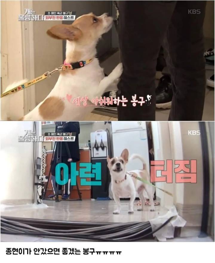 문제견이 있었는데요....없었습니다.jpg | 인스티즈