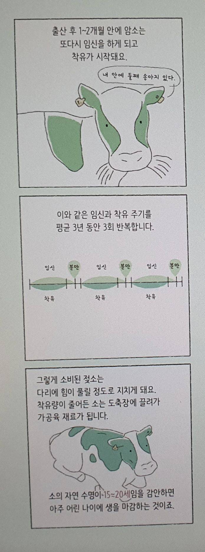 우유가 만들어지는 과정 | 인스티즈