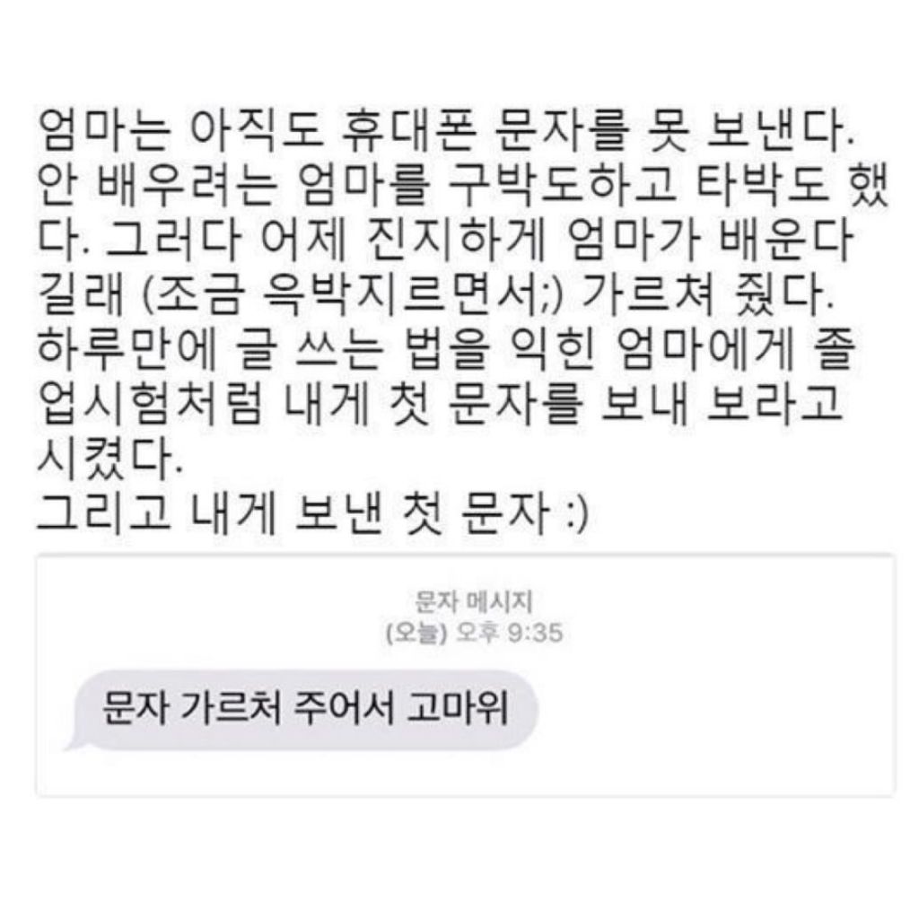 엄마에게 온 문자 | 인스티즈