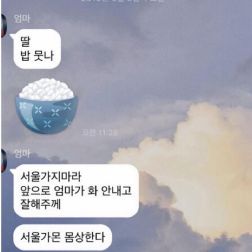 엄마에게 온 문자 | 인스티즈