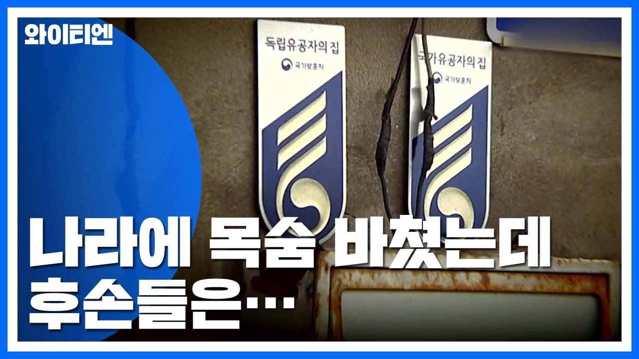 3.1절이라서 써보는 일본여행이 커뮤사세인 이유 | 인스티즈