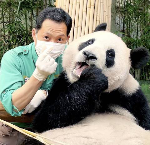 푸바오와 작은할부지 송바오🐼.jpg | 인스티즈