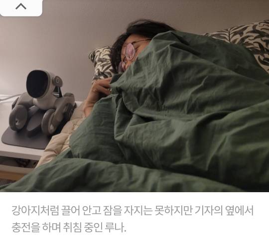 목욕은 물티슈로, 먹이는 전기 충전…반려로봇 '루나' 입양해 보니 | 인스티즈