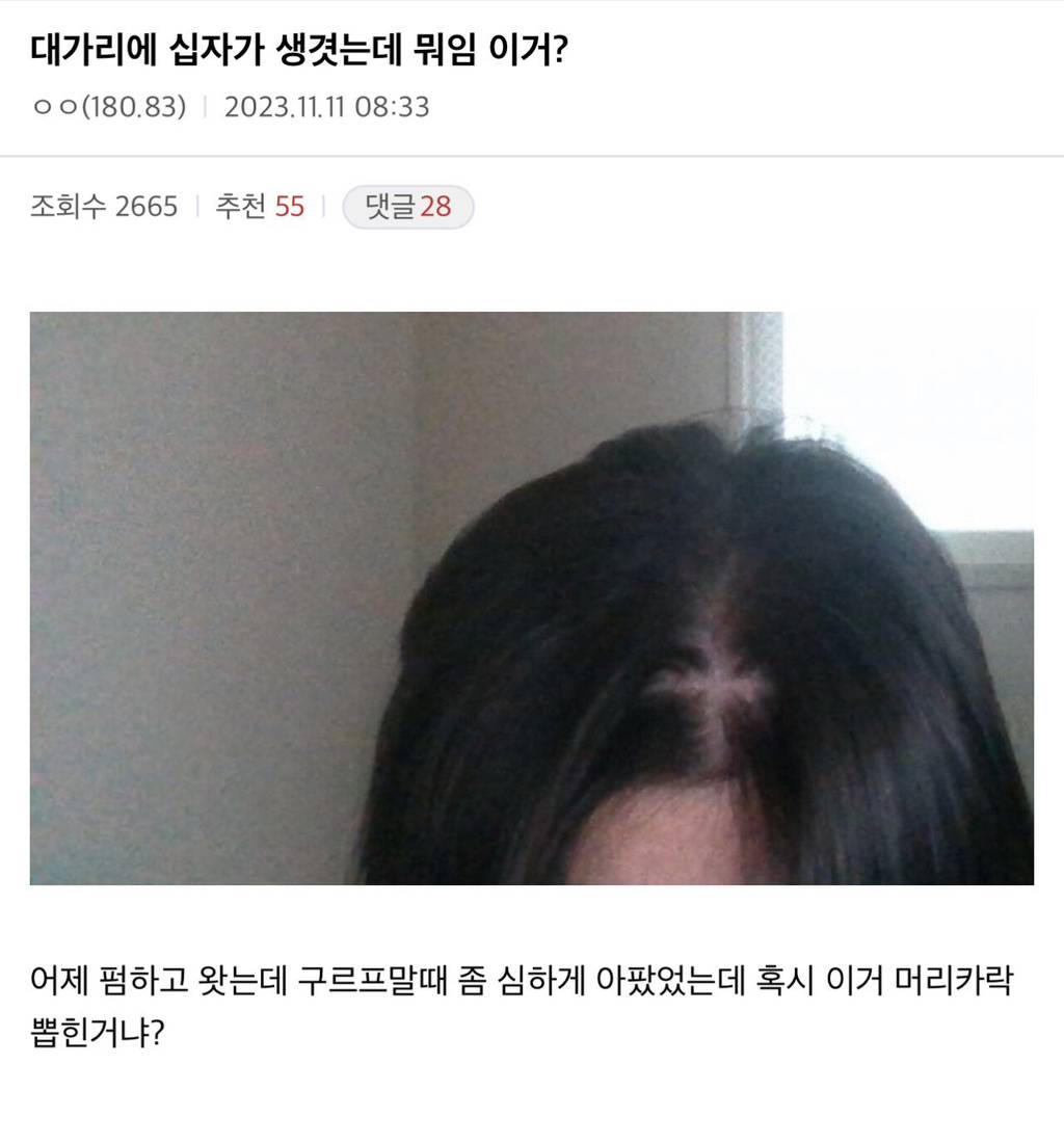 싱글벙글 디씨 헤어갤러리.jpg | 인스티즈