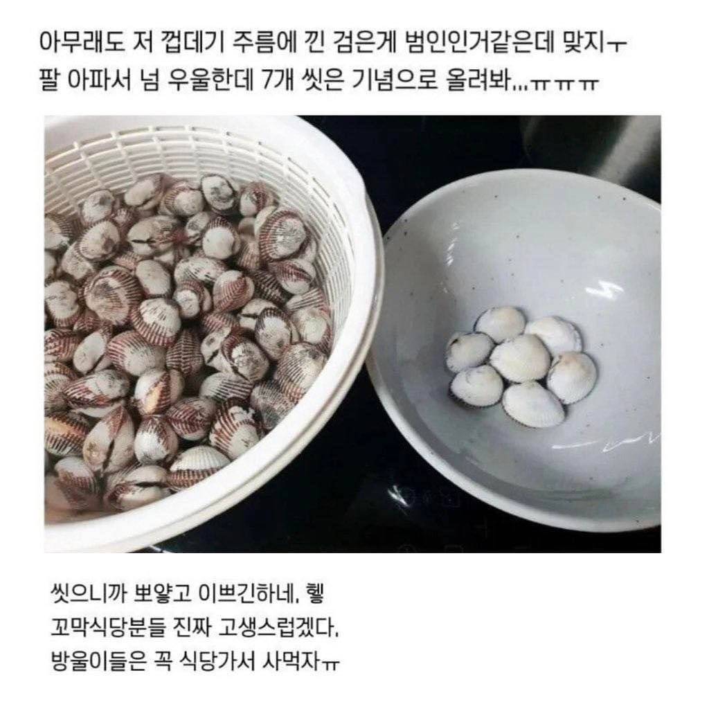 와 꼬막 손질 너무너무 힘들다ㅠㅠ | 인스티즈