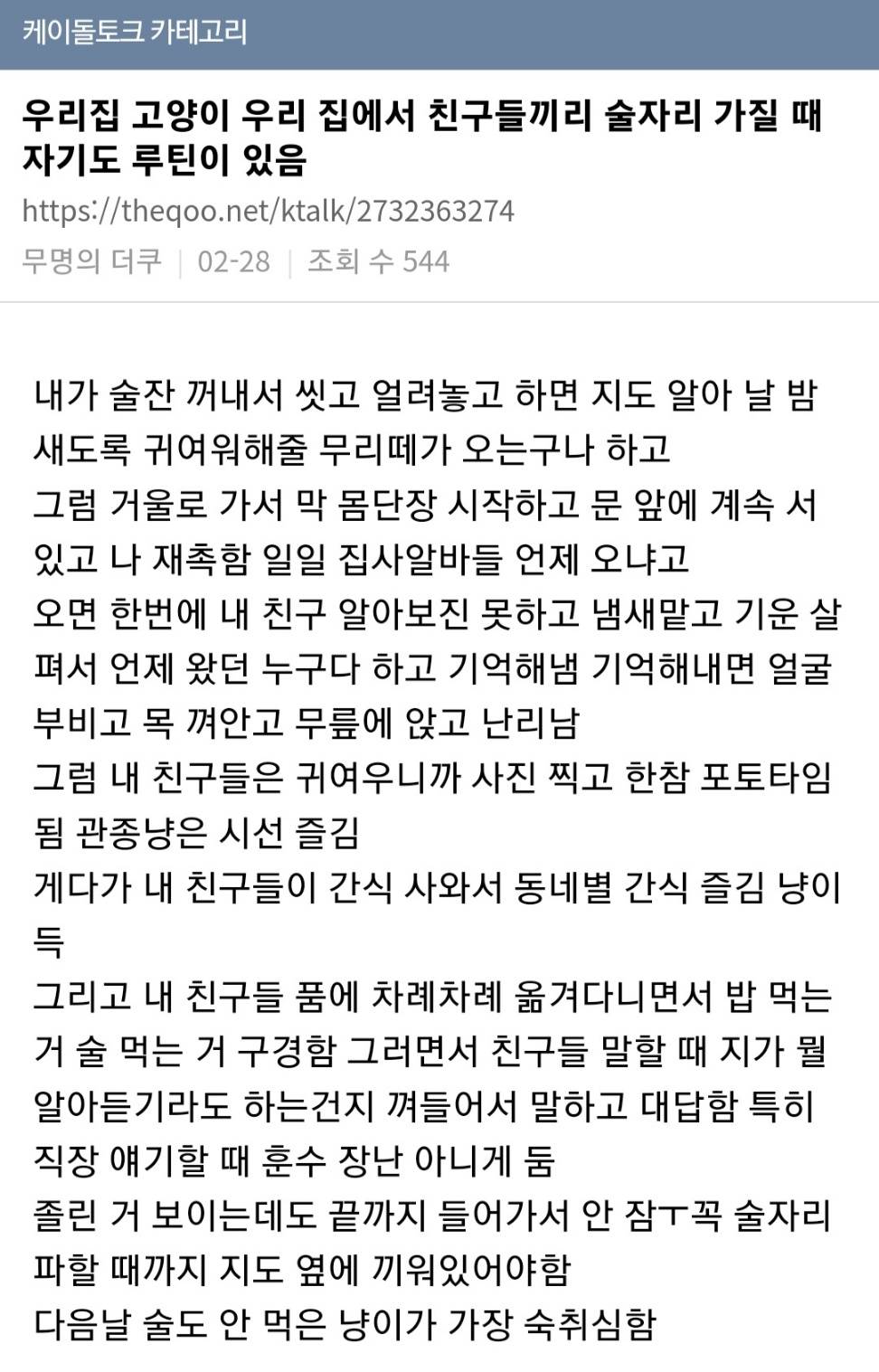 고양이들 뭐 맘에 드는 거 있으면 자기 루틴에 넣는다는 거 찐인가봐 | 인스티즈