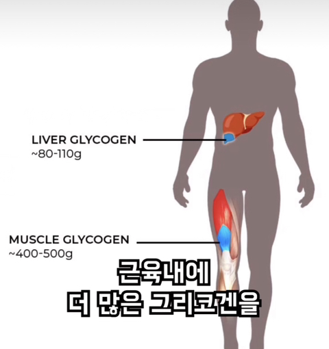 달리기 (러닝) 을 안하는게 손해인 이유 | 인스티즈