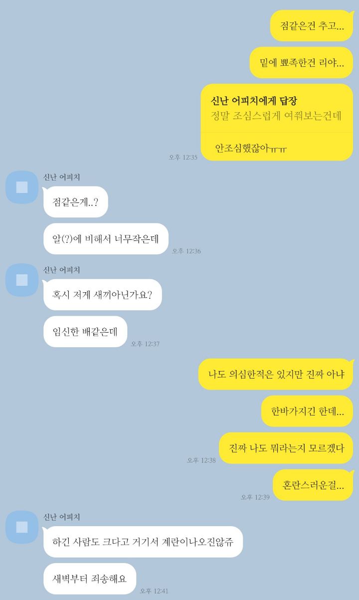 남의 집 햄스터 태몽 꾼 사람.twt | 인스티즈