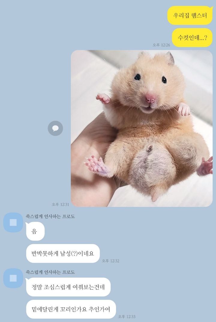 남의 집 햄스터 태몽 꾼 사람.twt | 인스티즈