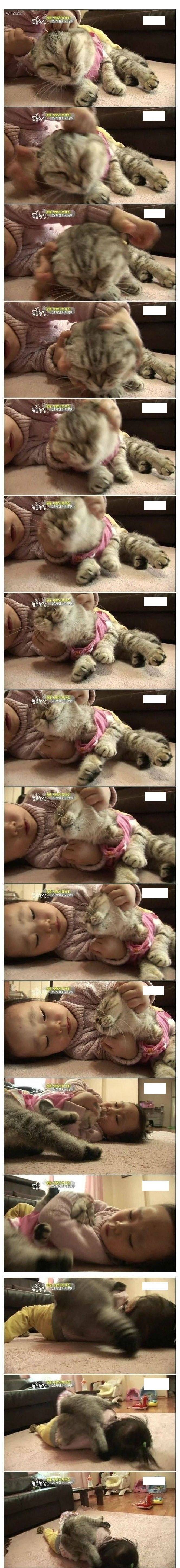 고양이 인터뷰하는 제작진 | 인스티즈