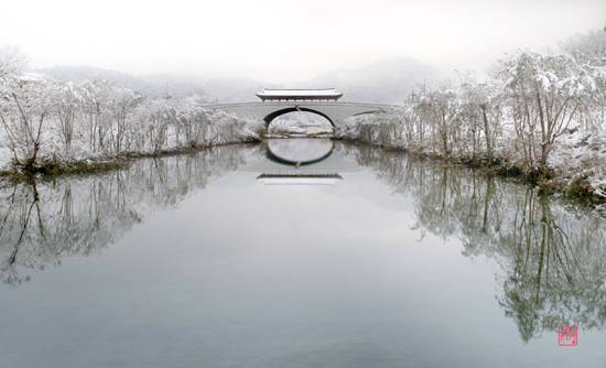 버드나무 풍경이 아름답던 전주 남천교 근황 | 인스티즈