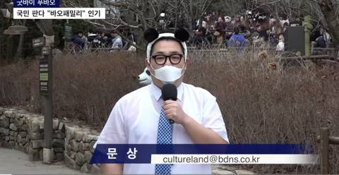 푸바오 마지막 모습 보도하던 기자...오열 하다가 방송사고 | 인스티즈