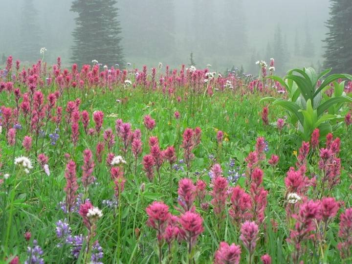 2001년 학교 풍경.jpg | 인스티즈