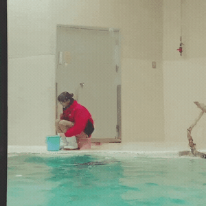 사육사 니가 고생이 많아ㅋ | 인스티즈