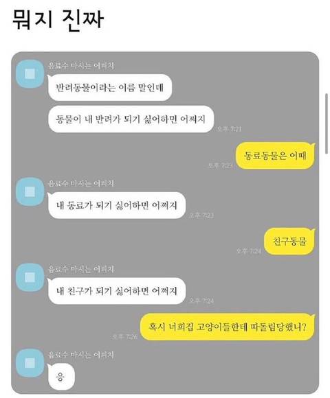 사실 이런 티키타카 좋아하는 여시들 모여라 | 인스티즈