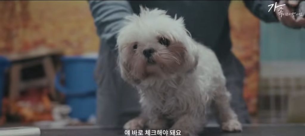 여긴 안전하고 넓은 데야. 아무것도 안해도 돼 | 인스티즈