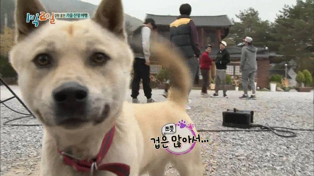 오늘자 1박2일의 끈끈한의리 | 인스티즈