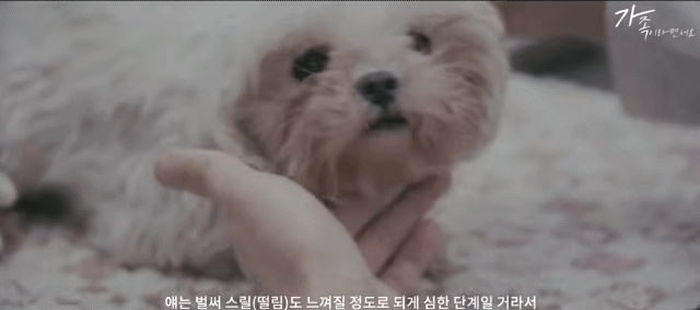 여긴 안전하고 넓은 데야. 아무것도 안해도 돼 | 인스티즈