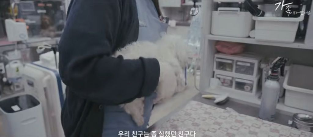 여긴 안전하고 넓은 데야. 아무것도 안해도 돼 | 인스티즈
