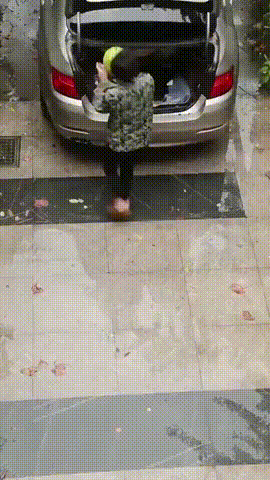 수박이 위험한 이유 | 인스티즈