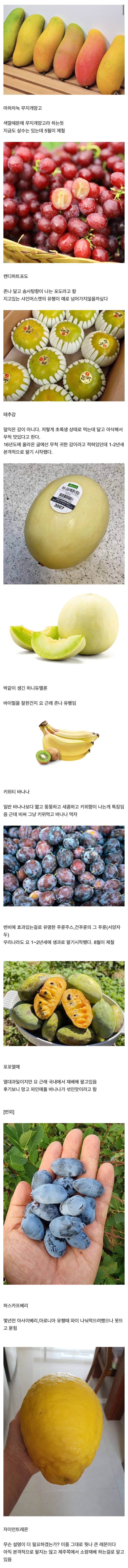 요 몇년간 새로 나온 과일들 | 인스티즈