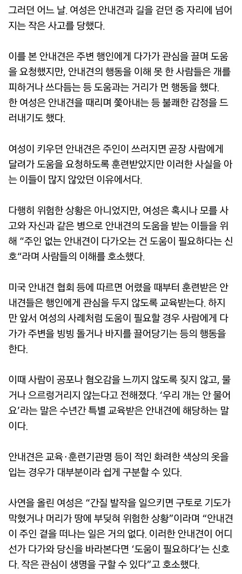 주인 없이 다가오는 안내견이 보내는 신호 | 인스티즈