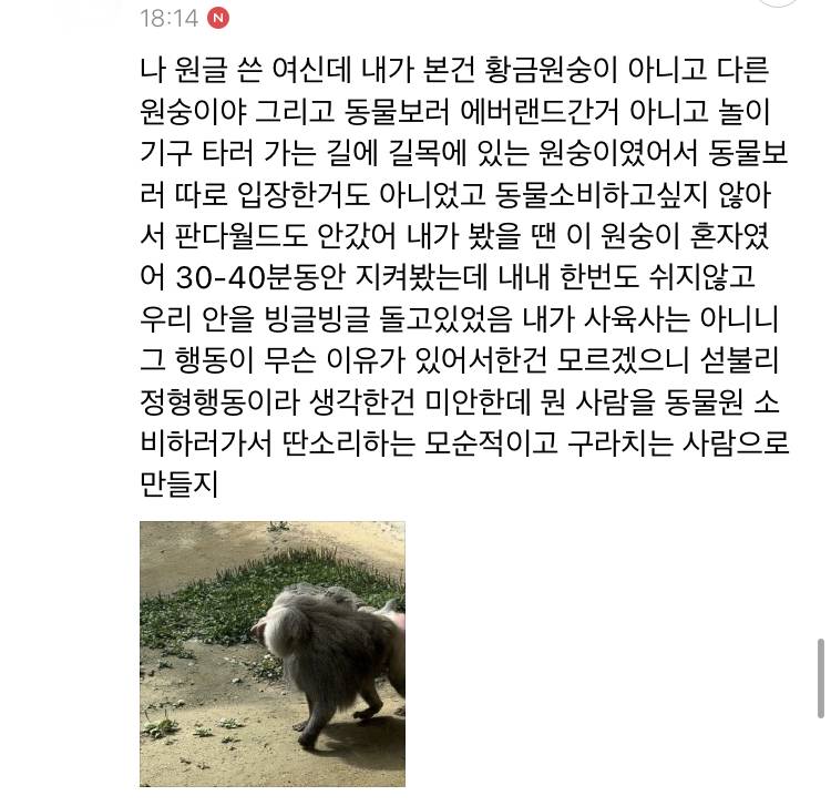 판다월드 밑쪽으로 내려가다 보면 | 인스티즈