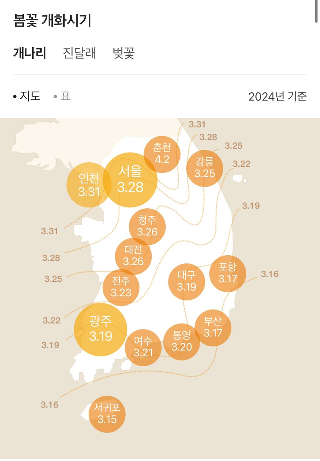 2024년 벚꽃 / 진달래 / 개나리 개화 시기.jpg | 인스티즈