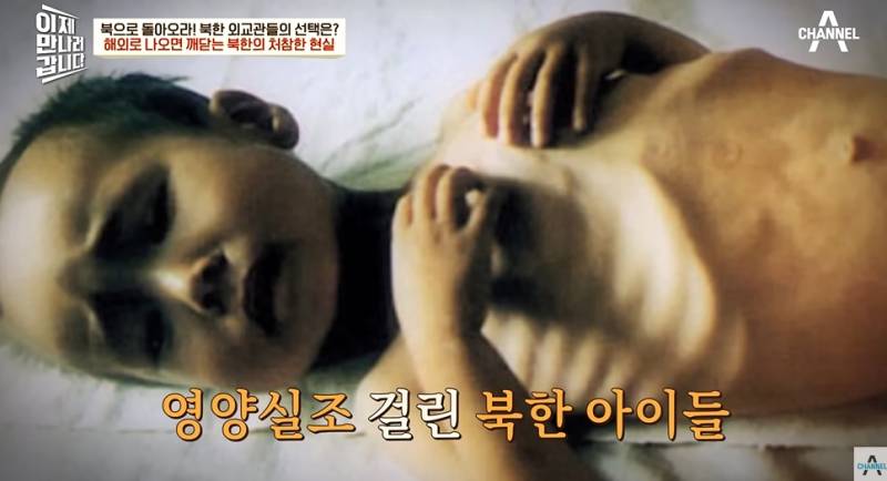 은근 많은 북한 외교관들의 탈북 사유 | 인스티즈