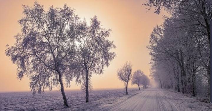 둘중 더 가능한 것은? | 인스티즈