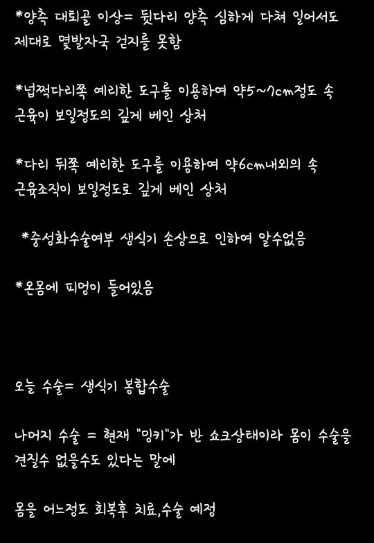 김포에 강아지, 고양이 ㅅㅍㅎ하고 다니는 인간이 있다고 함 | 인스티즈