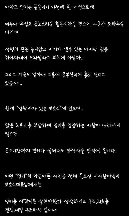 김포에 강아지, 고양이 ㅅㅍㅎ하고 다니는 인간이 있다고 함 | 인스티즈