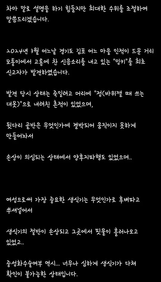 김포에 강아지, 고양이 ㅅㅍㅎ하고 다니는 인간이 있다고 함 | 인스티즈